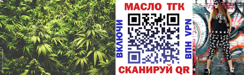 цены   Снежногорск  ТГК концентрат 