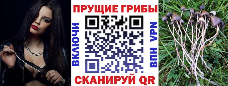 Псилоцибиновые грибы Magic Shrooms магазин Снежногорск